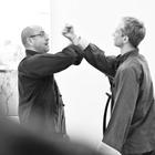 Ta Lu Pushing Hands Καλοκαίρι 2013