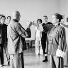 Ta Lu Pushing Hands Καλοκαίρι 2013