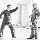 Ta Lu Pushing Hands Καλοκαίρι 2013