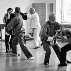 Ta Lu Pushing Hands Καλοκαίρι 2013