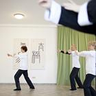 Σχολή Tai Chi Chuan Gabriele Matl